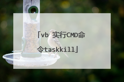 vb 实行CMD命令taskkill
