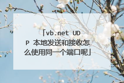 vb.net UDP 本地发送和接收怎么使用同一个端口呢