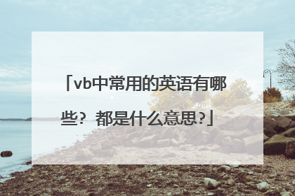 vb中常用的英语有哪些? 都是什么意思?