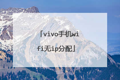 vivo手机wifi无ip分配