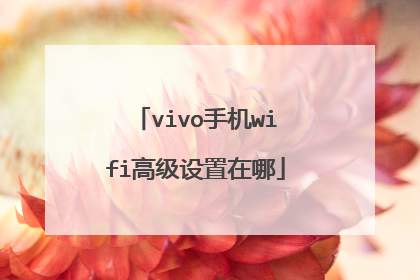 vivo手机wifi高级设置在哪
