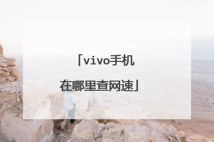 vivo手机在哪里查网速