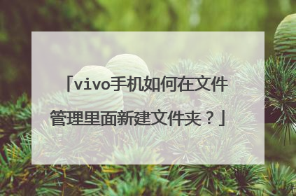 vivo手机如何在文件管理里面新建文件夹？