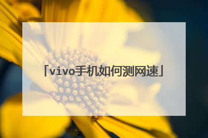 vivo手机如何测网速