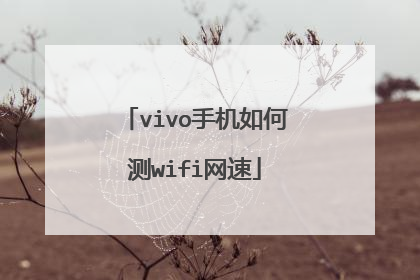 vivo手机如何测wifi网速