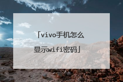 vivo手机怎么显示wifi密码