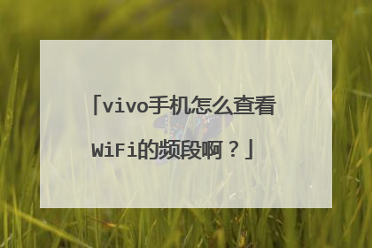 vivo手机怎么查看WiFi的频段啊？