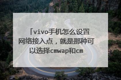 vivo手机怎么设置网络接入点,就是那种可以选择cmwap和cmnet网络的那种?我的手机型号是v