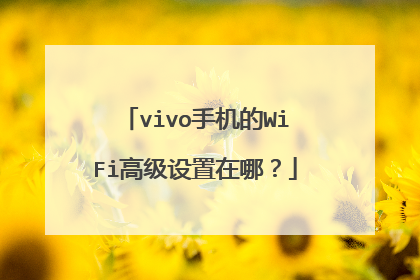 vivo手机的WiFi高级设置在哪?