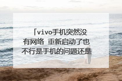 vivo手机突然没有网络 重新启动了也不行是手机的问题还是卡的问题 怎么办