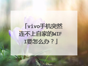 vivo手机突然连不上自家的WIFI要怎么办?