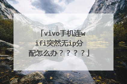vivo手机连wifi突然无ip分配怎么办????