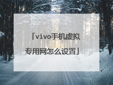 vivo手机虚拟专用网怎么设置
