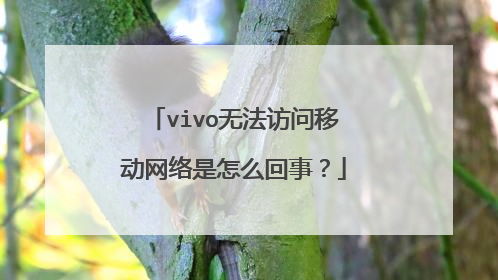 vivo无法访问移动网络是怎么回事?