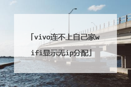 vivo连不上自己家wifi显示无ip分配