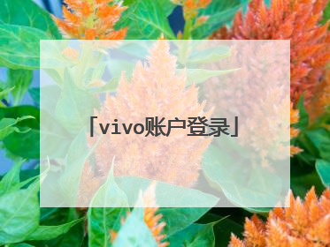 vivo账户登录