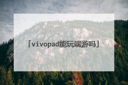 vivopad能玩端游吗