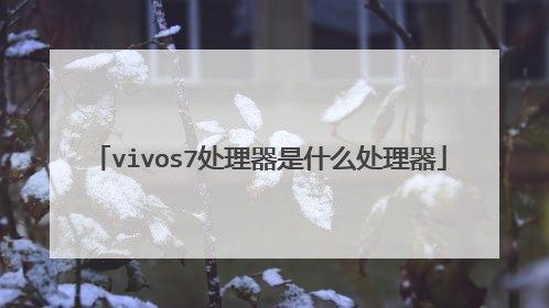 vivos7处理器是什么处理器