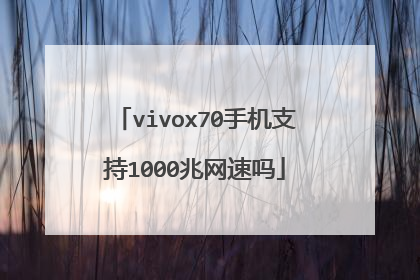vivox70手机支持1000兆网速吗
