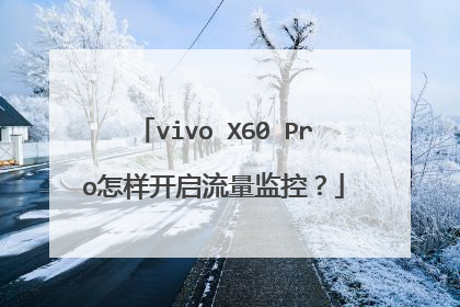 vivo X60 Pro怎样开启流量监控？