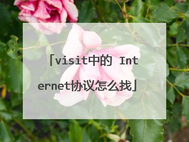 visit中的 Internet协议怎么找