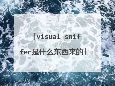visual sniffer是什么东西来的