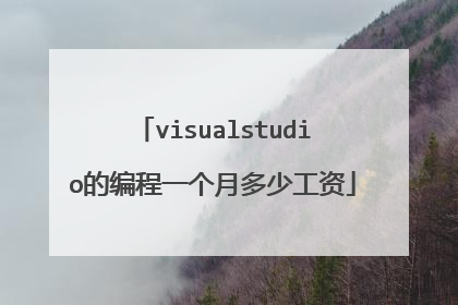 visualstudio的编程一个月多少工资