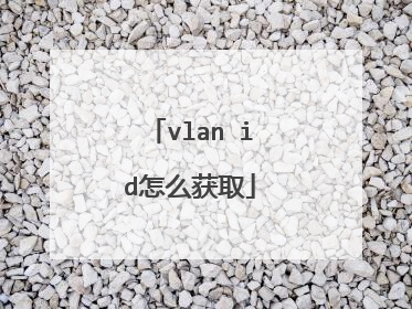 vlan id怎么获取