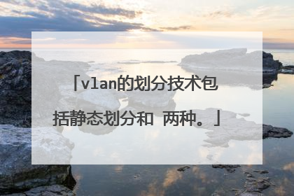 vlan的划分技术包括静态划分和 两种。