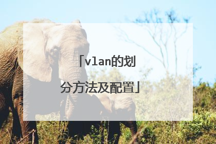 vlan的划分方法及配置