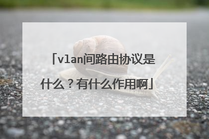vlan间路由协议是什么?有什么作用啊