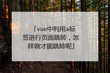 vue中利用a标签进行页面跳转，怎样做才能跳转呢