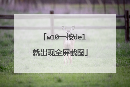 w10一按del就出现全屏截图