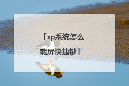 xp系统怎么截屏快捷键