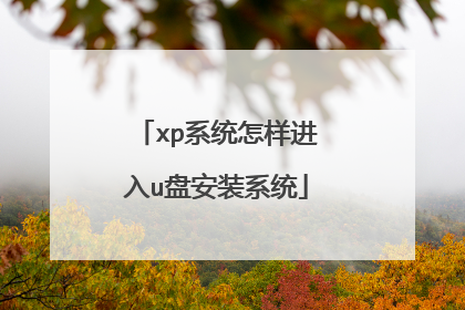 xp系统怎样进入u盘安装系统