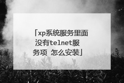 xp系统服务里面没有telnet服务项 怎么安装