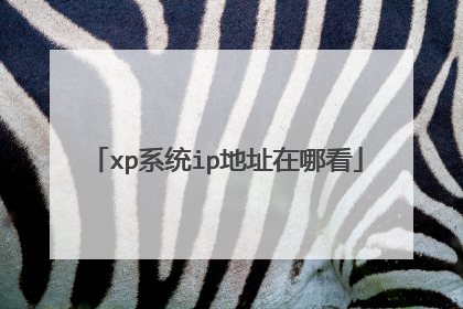 xp系统ip地址在哪看