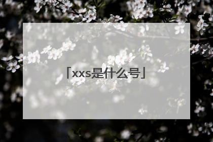 xxs是什么号