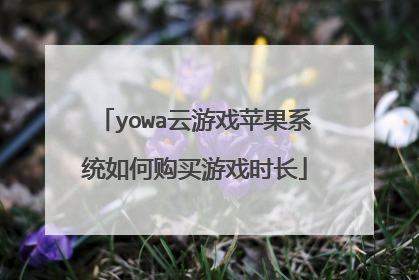 yowa云游戏苹果系统如何购买游戏时长