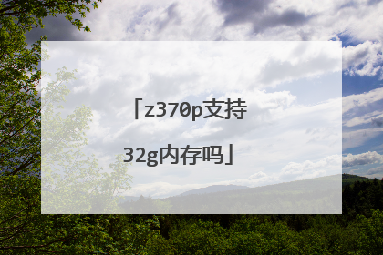z370p支持32g内存吗