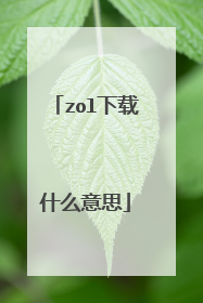 zol下载什么意思