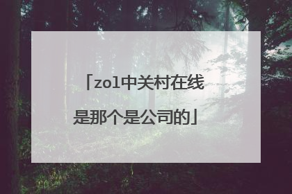 zol中关村在线是那个是公司的