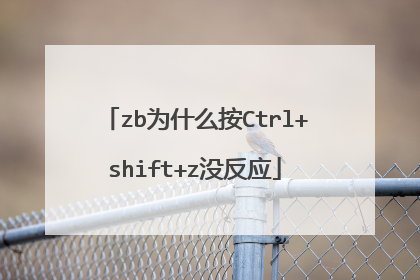 zb为什么按Ctrl+shift+z没反应