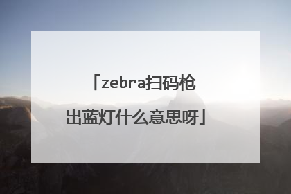zebra扫码枪出蓝灯什么意思呀
