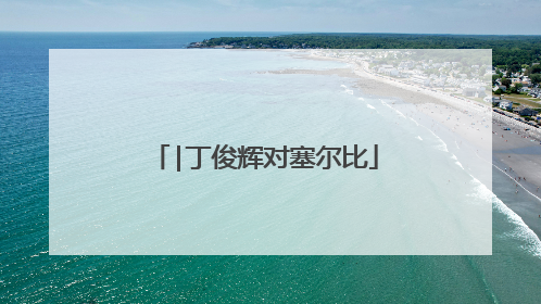 |丁俊辉对塞尔比