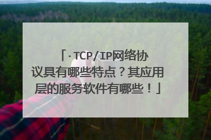 ·TCP/IP网络协议具有哪些特点?其应用层的服务软件有哪些!